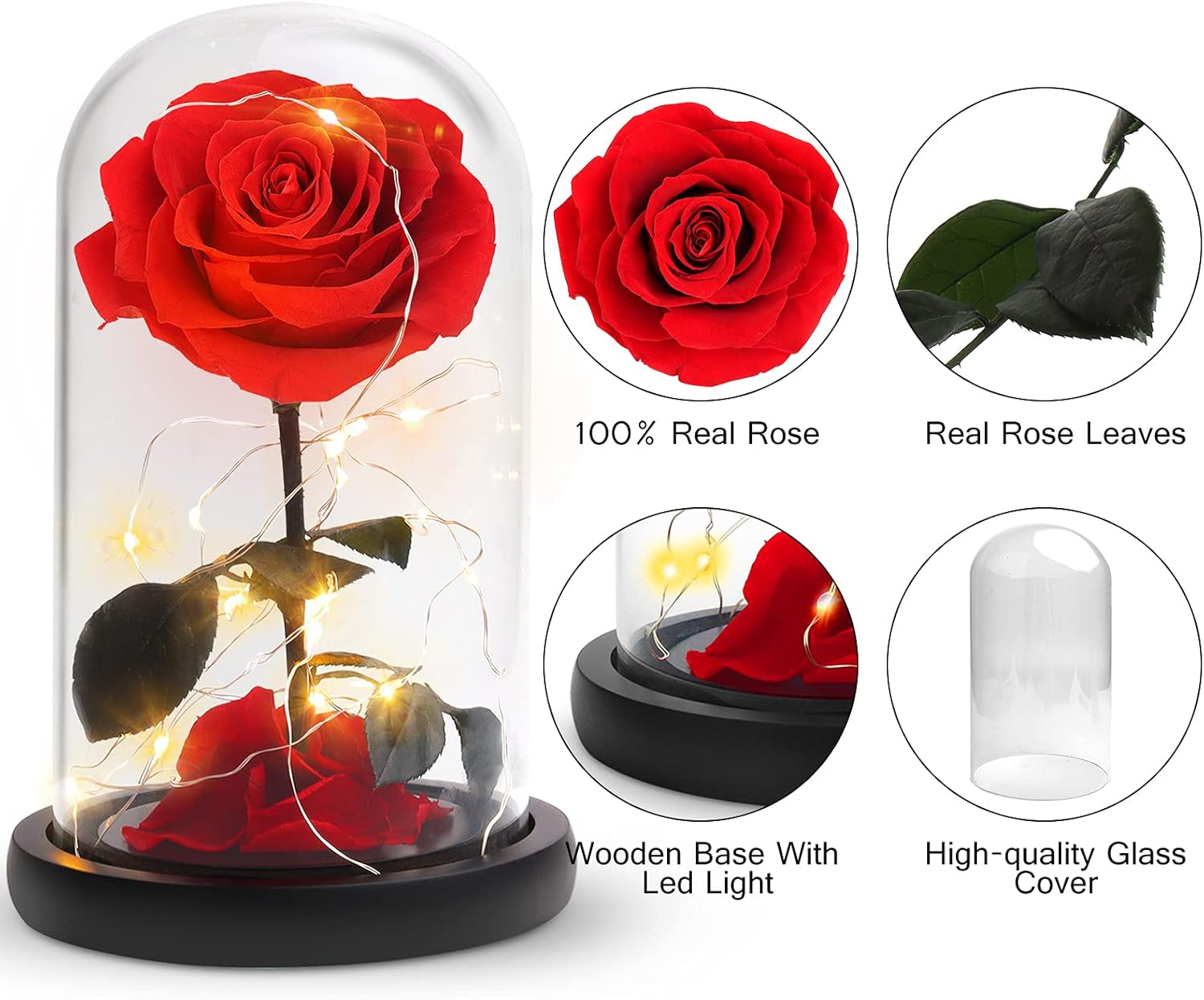 Best for Mom Preserved Real Rose, Eternal Rose in Glass Dome Gifts for Women Mother'S Day Christmas Valentine'S Day Birthday (Red, Large)